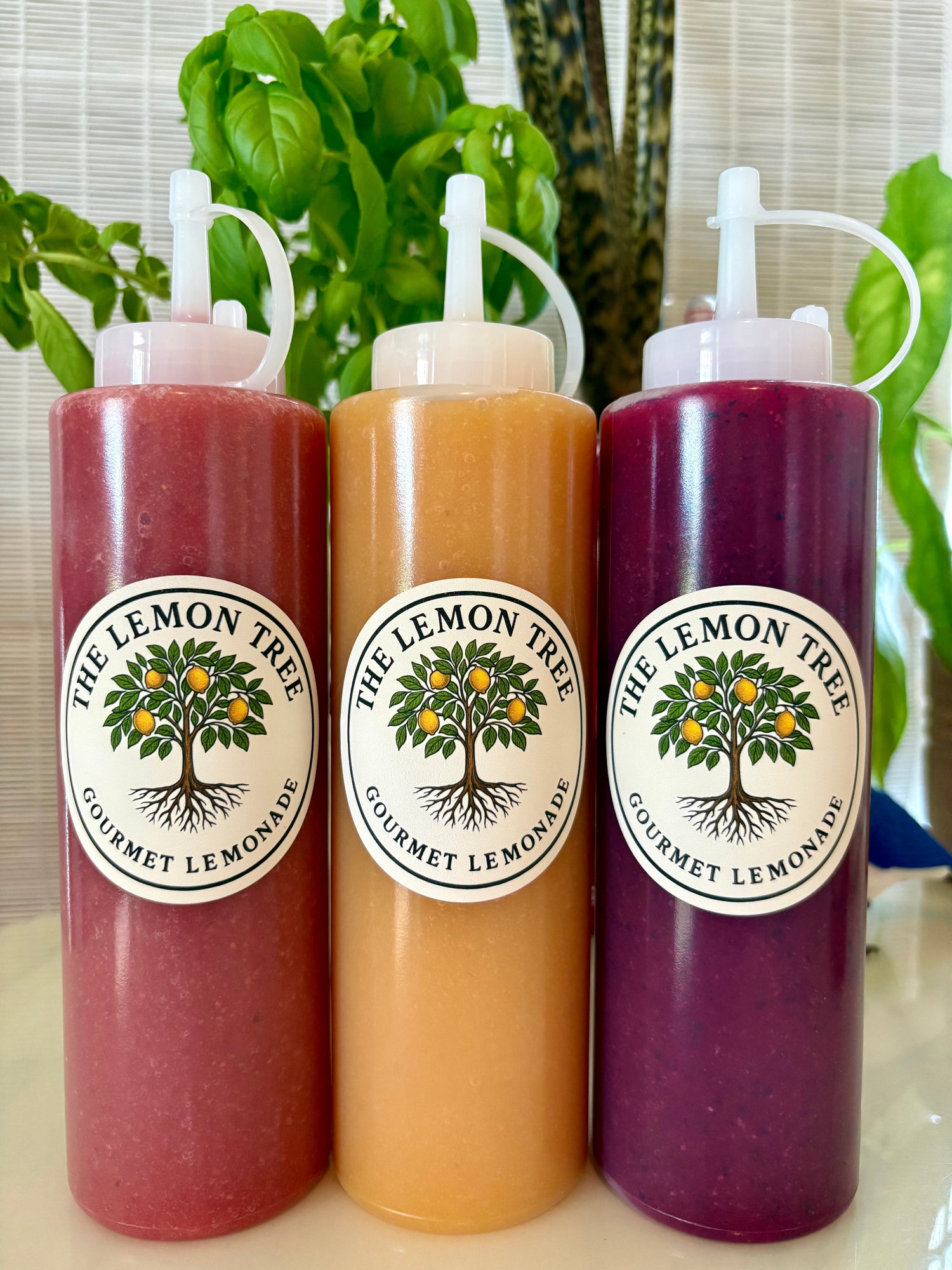 ARTISANAL SYRUPS