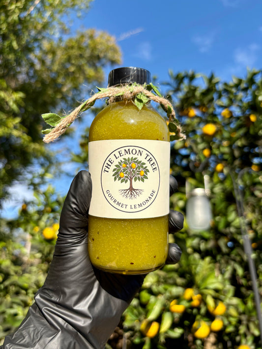 Kiwi Syrup – 8 oz Small-Batch Gourmet Fruit Syrup for Lemonade, Cocktails, Mocktails & Tea | Artisan