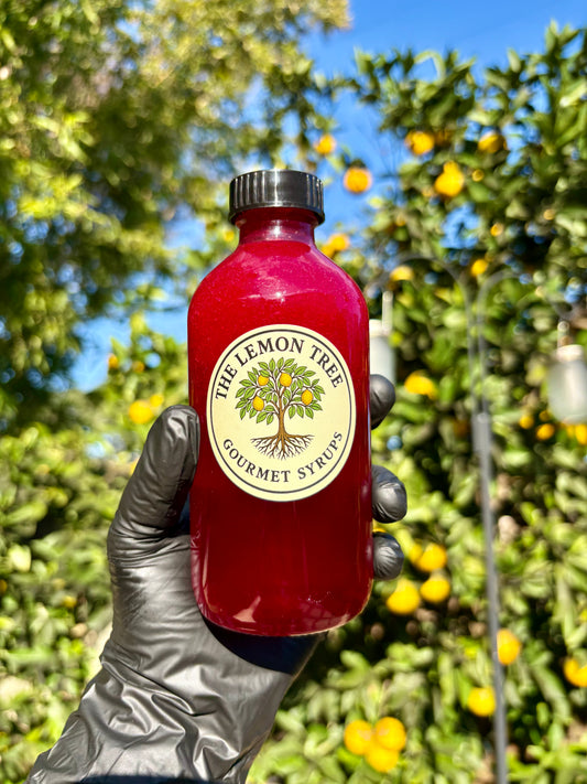 Dragon Fruit Syrup – 8 oz Small-Batch Gourmet Tropical Syrup for Lemonade, Cocktails, Mocktails & Tea | Artisan