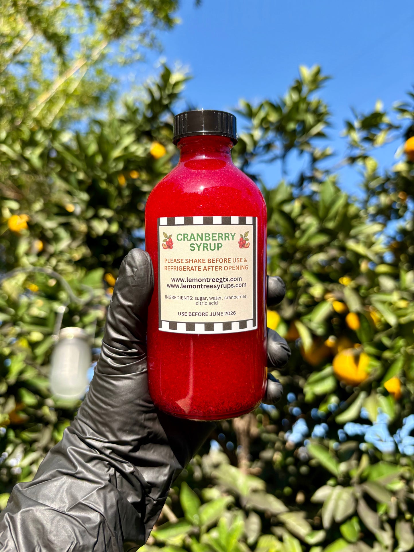Cranberry Syrup – 8 oz Small-Batch Gourmet Fruit Syrup for Lemonade, Cocktails, Mocktails & Tea | Artisan