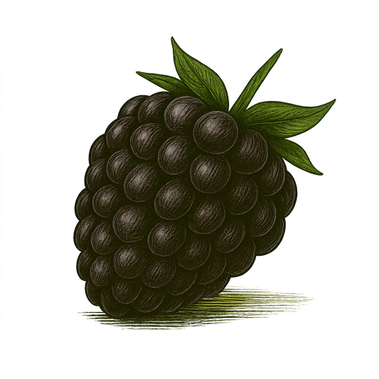 Blackberry Syrup – 8 oz Small-Batch Gourmet Citrus Syrup for Lemonade, Cocktails, Mocktails & Tea | Artisan