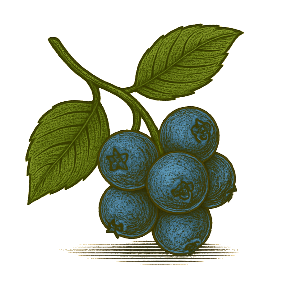 Blueberry Syrup — 8 oz Small-Batch Gourmet Fruit Syrup for Lemonade, Cocktails & Tea | Artisan