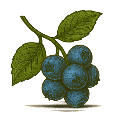 Blueberry Syrup — 8 oz Small-Batch Gourmet Fruit Syrup for Lemonade, Cocktails & Tea | Artisan