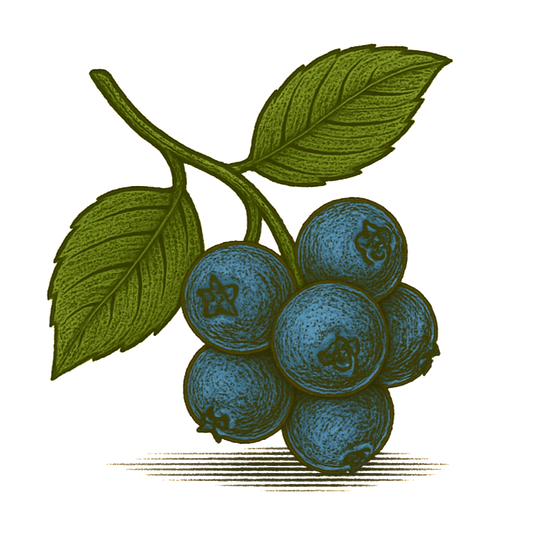 Blueberry Syrup — 8 oz Small-Batch Gourmet Fruit Syrup for Lemonade, Cocktails & Tea | Artisan