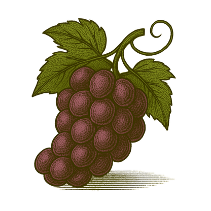 Grape Syrup — 8 oz Small-Batch Gourmet Fruit Syrup for Lemonade, Cocktails & Tea | Artisan