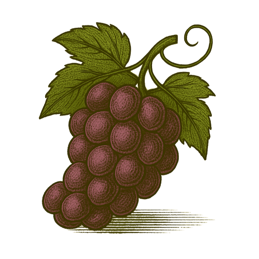 Grape Syrup — 8 oz Small-Batch Gourmet Fruit Syrup for Lemonade, Cocktails & Tea | Artisan