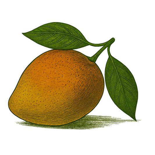 Mango Syrup – 8 oz Small-Batch Gourmet Tropical Syrup for Lemonade, Cocktails, Mocktails & Tea | Artisan